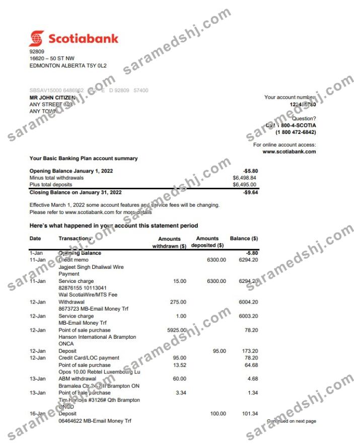 Australia Scotiabank statement 2 pages xls
